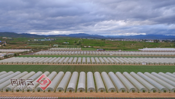 祥云县：高原坝区如何构筑疫情防线？