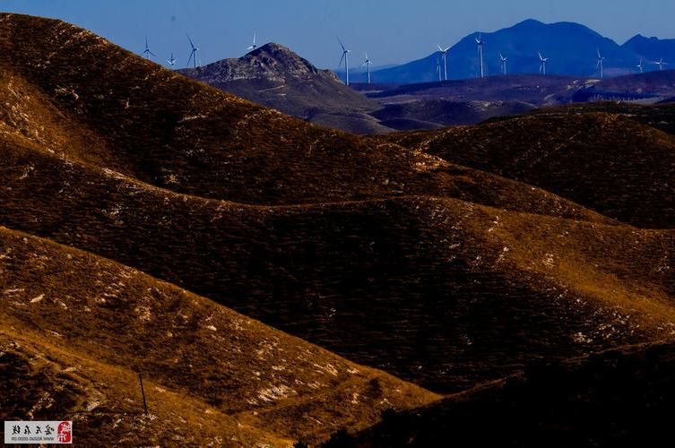 阜新:辽西丘陵屏障下的低感染样本解析