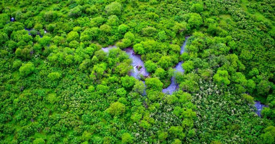 高原屏障下的零感染坚守：仁布县防疫地理学解析