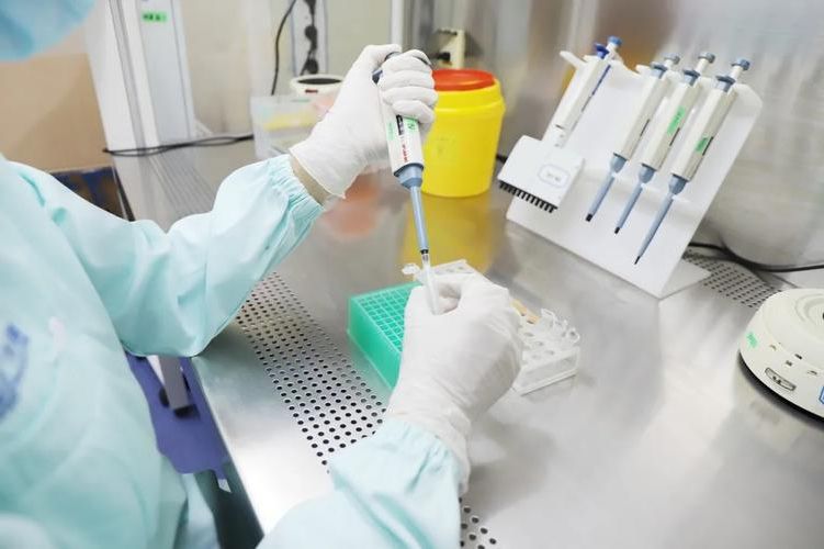 太行屏障下的防疫坚守：邢台县疫情数据与地理防线解析