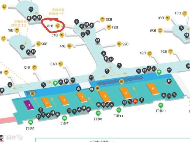 萧山机场枢纽下的疫情破防：国际航线如何成为本土传播链起点？