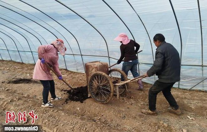 洛南:秦岭腹地的防疫坚守与破防时刻