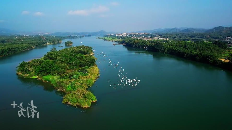 【博罗:东江流域交通枢纽的疫情防线与破防时刻】