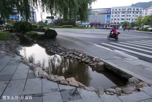 勃利县疫情观察:东北小城如何守住零感染防线?