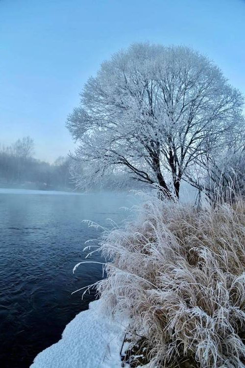 伊春林海屏障下的零感染坚守：寒地小城的防疫逻辑