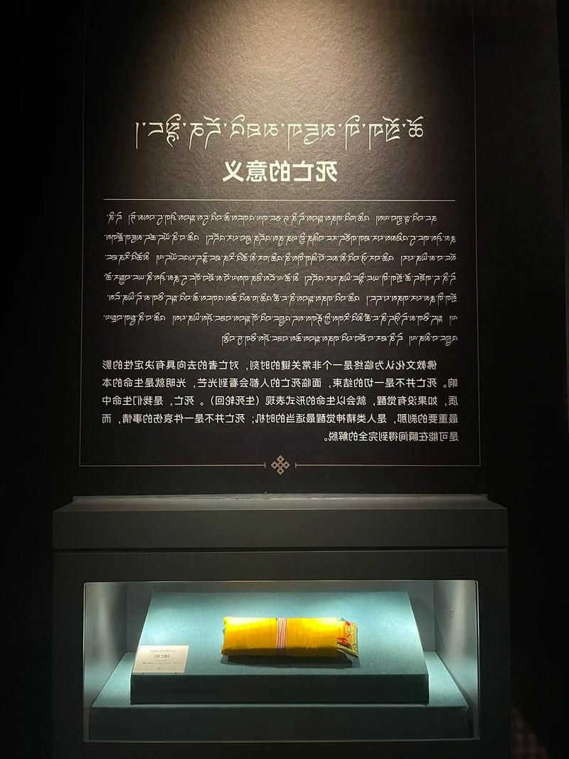 西藏高原屏障下的防疫奇迹：昌都县零感染的地理密码_18120