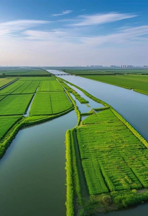 淮南：淮河屏障下的疫情破防与精准流调