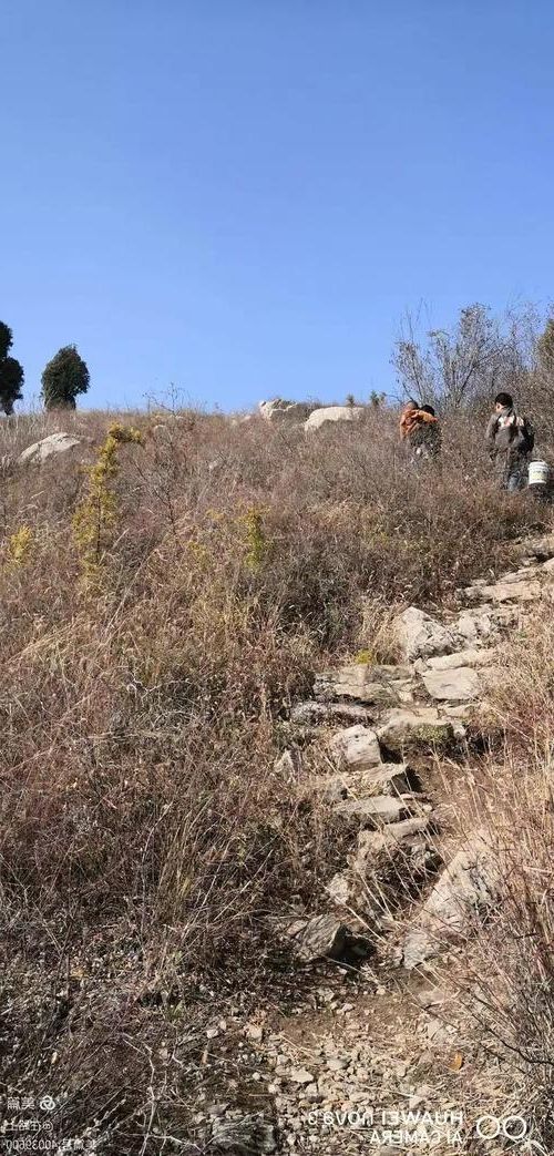 肥城：泰山屏障下的县域防疫样本