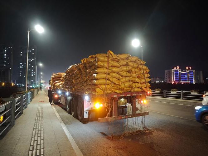 新蔡县疫情观察：黄淮平原交通枢纽的防控挑战