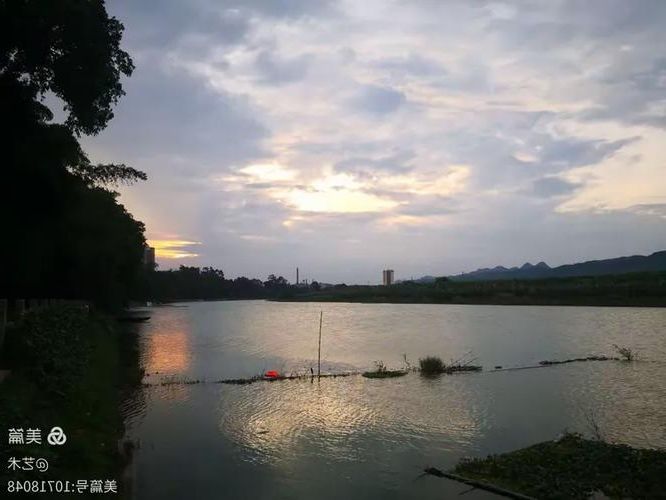 田阳：右江河谷腹地的防疫坚守与挑战