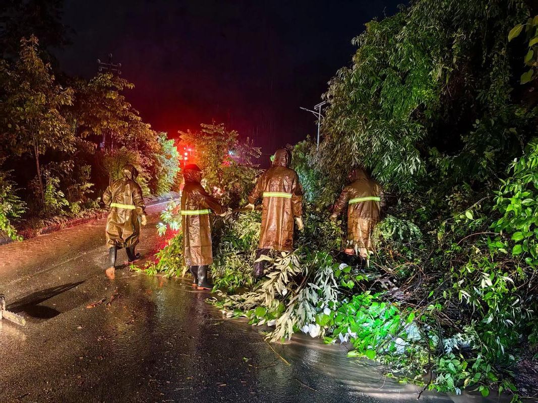 德江疫情:武陵山区交通节点下的防控挑战