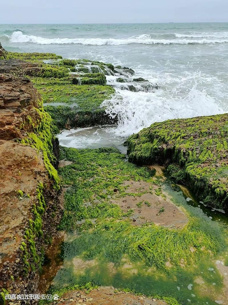 惠东海岸线上的防疫破口:旅游热浪与病毒传播链的隐秘关联