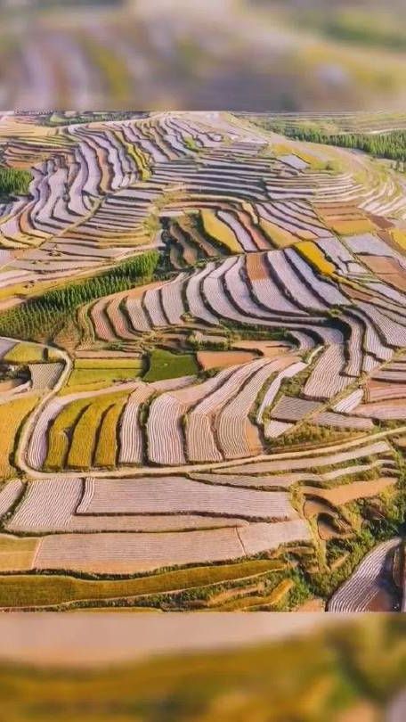 五莲疫情透视：低海拔丘陵地带的防控挑战与应对