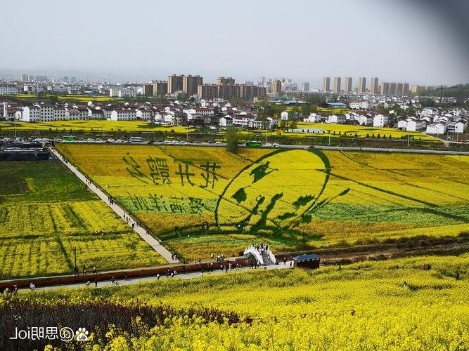 洋县：秦巴山坳间的零感染孤岛何以铸成？