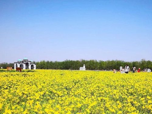 内乡县零感染记录：南阳盆地中的防疫孤岛如何形成？