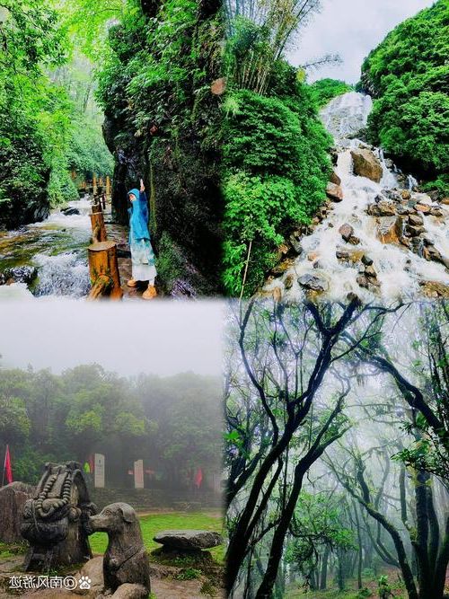 镇沅：哀牢山屏障下的零感染坚守