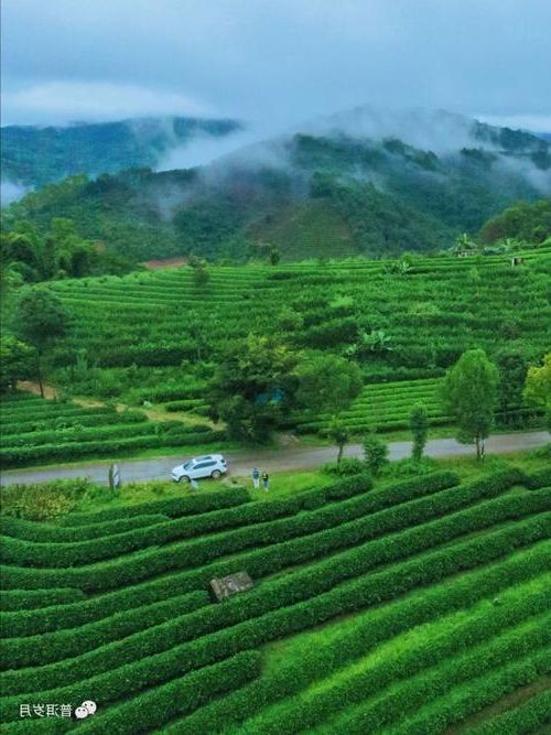 思茅茶山屏障下的零感染守望：地理优势如何构筑防疫孤岛？