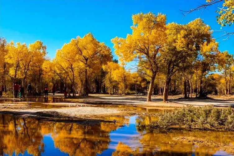 格尔木：青藏咽喉的静默防线与破防时刻