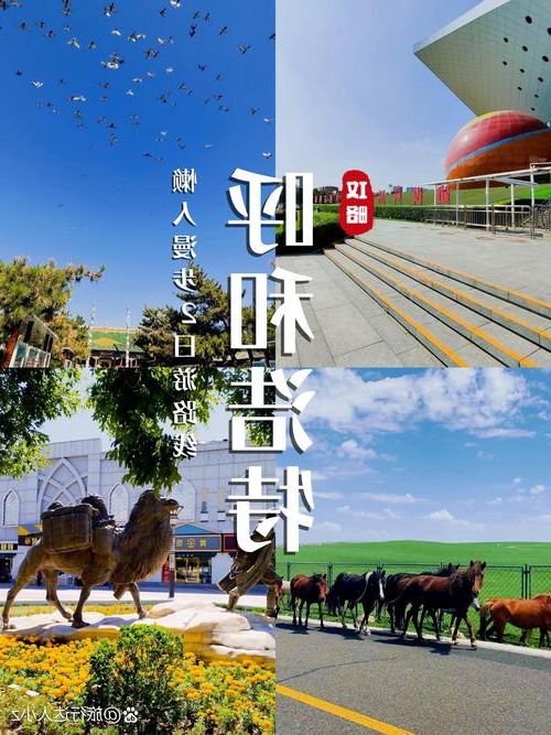 呼和浩特:草原都市的疫情阻击战