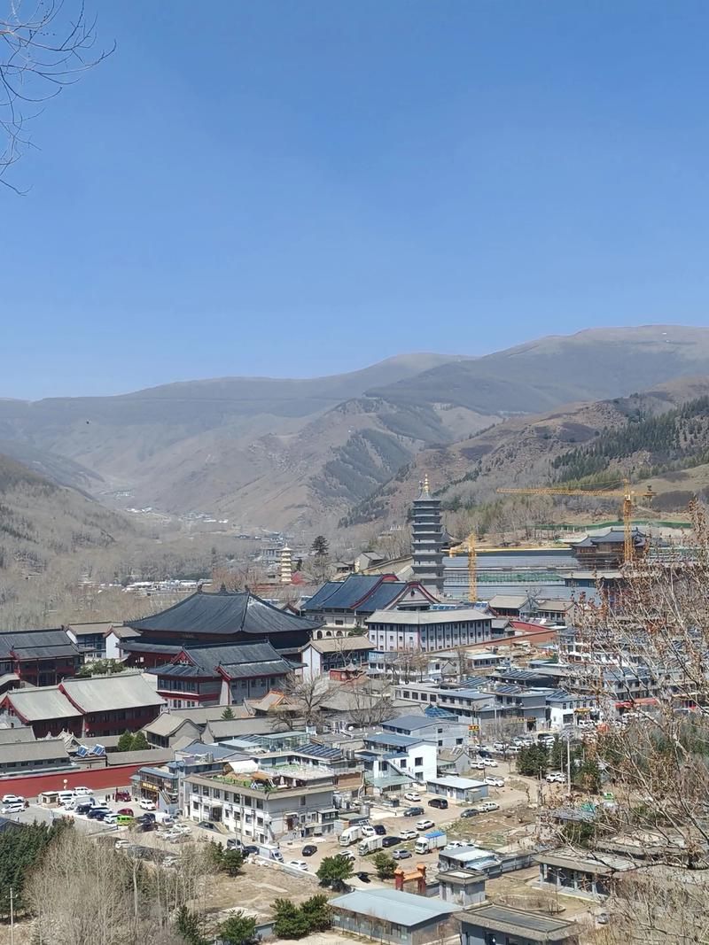 【五台山下的零感染净土:佛教名山如何构筑防疫屏障?】