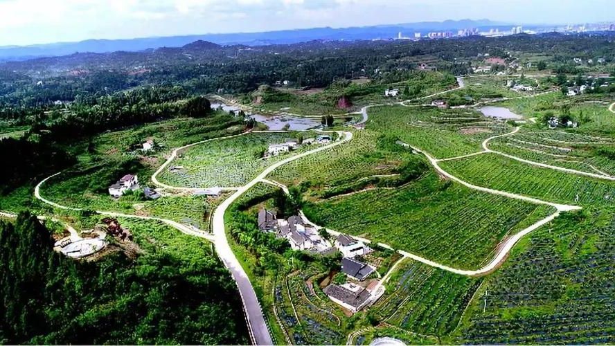 营山:川东丘陵腹地的疫情防线与破防时刻