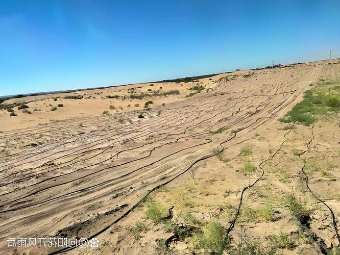 【府谷：黄河峡谷间的零感染坚守与物理防线】