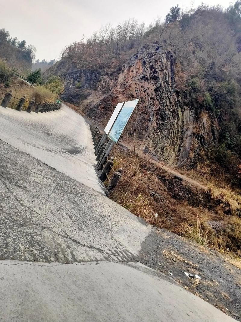 藤县：西江黄金水道上的疫情防线与破防时刻