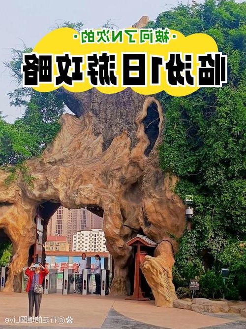 洪洞古槐下的防疫坚守:临汾盆地如何构筑疫情防线_34812