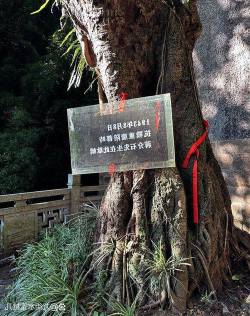 北流市：桂东南丘陵屏障下的本土零感染坚守