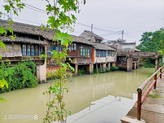 德清:浙北水乡的零感染坚守与地理屏障