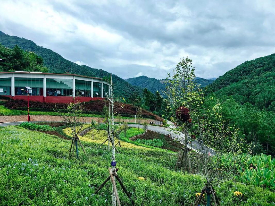 【景东:哀牢山屏障下的零感染坚守与防控逻辑】