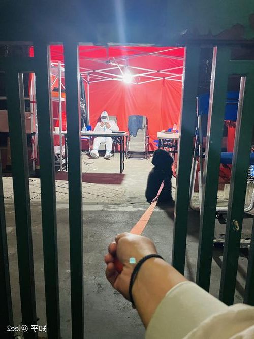 科尔沁左翼后旗新增1例无症状感染者  科尔沁左翼后旗疫情防控最新通报_53202