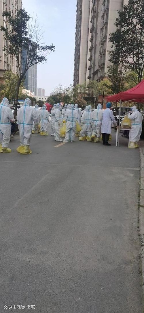 滦南县新增1例无症状感染者  滦南县疫情防控最新通报