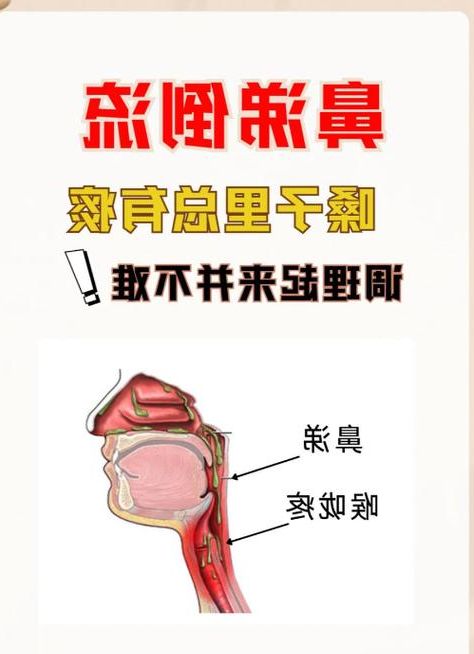 灵宝市:豫西咽喉的零感染坚守与物理防线解析