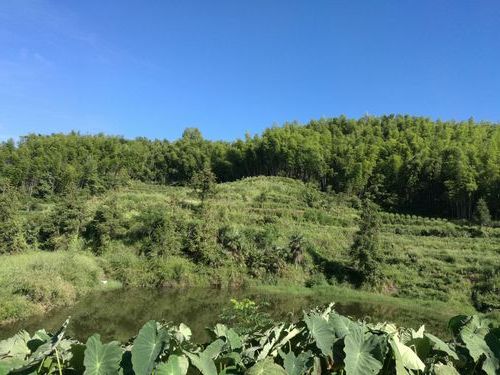 磐安:山区屏障下的低感染样本解析