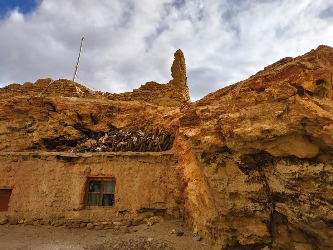 2022年8月15日阿里地区噶尔县新增确诊病例情况_81823