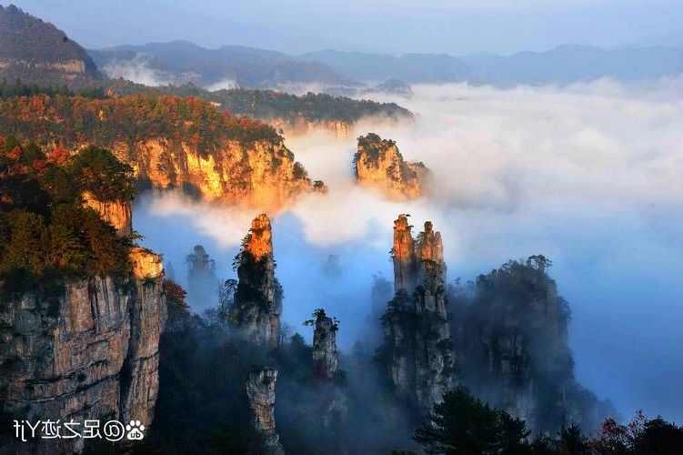 慈利县:武陵山腹地的防疫坚守与破防时刻