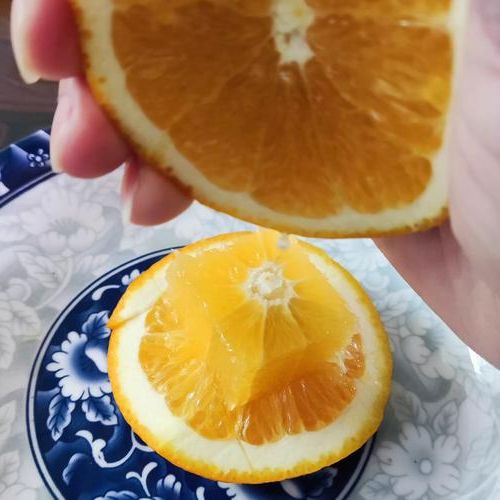 于都:赣南交通枢纽下的疫情压力与防控实践