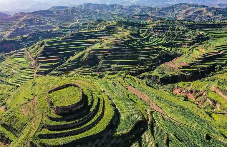 庄浪：黄土高原沟壑间的静默防线与零星破防