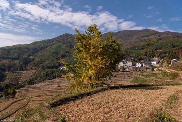 【永丰疫情观察：赣中丘陵地带的防控挑战与地理屏障】