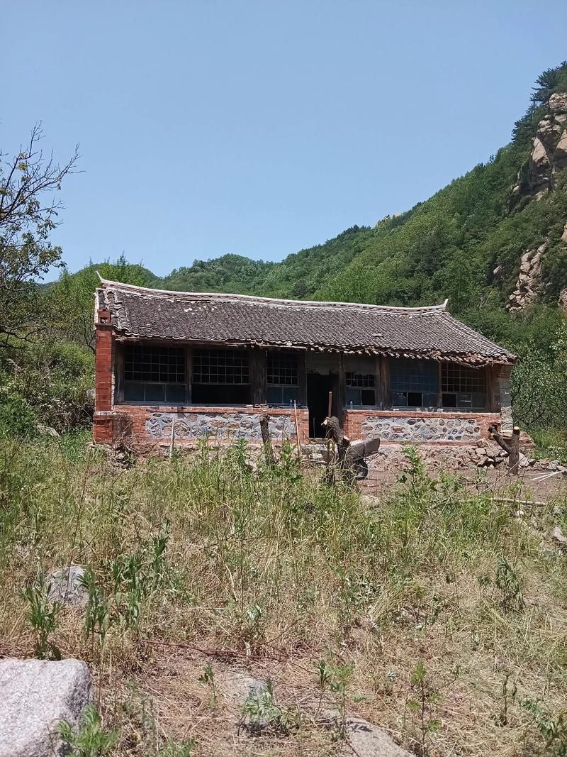 勉县：秦巴山坳间的零感染坚守与交通枢纽防疫压力