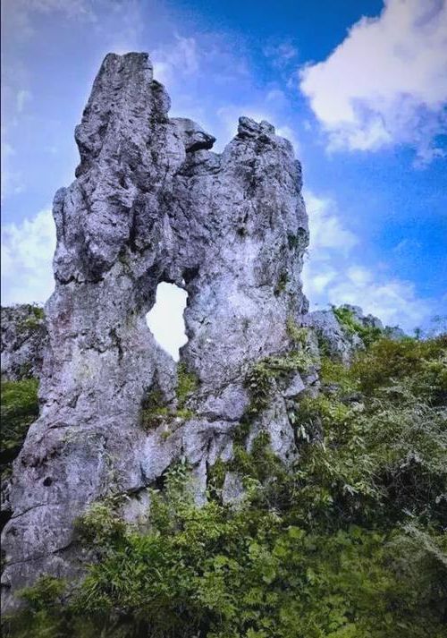 绥阳:喀斯特地貌下的疫情防波堤