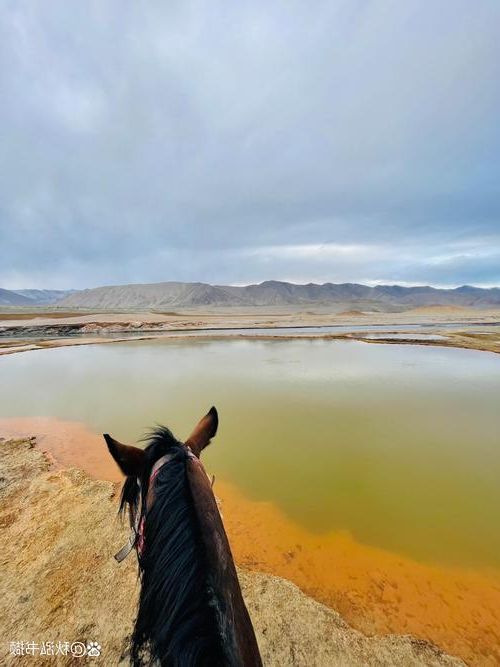 阿克陶县:帕米尔高原屏障下的零感染坚守_60955