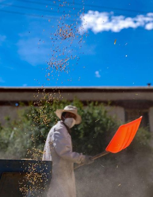 林周新增1例无症状感染者  林周县疫情防控最新通报