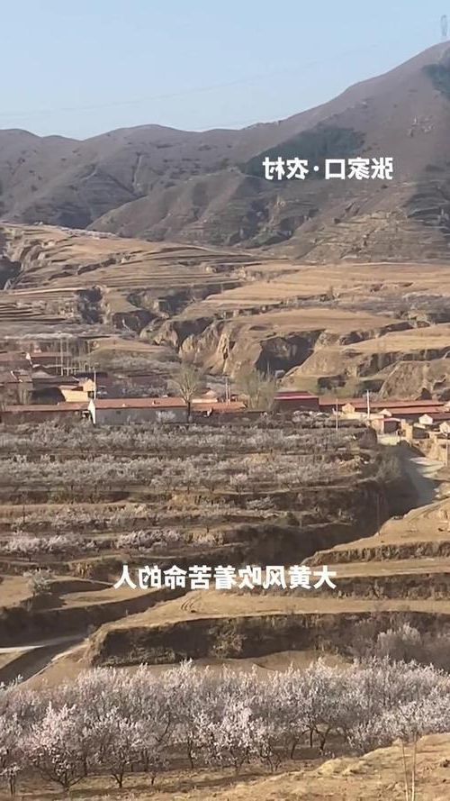 东乡县:黄土高原沟壑间的疫情防线与破防时刻