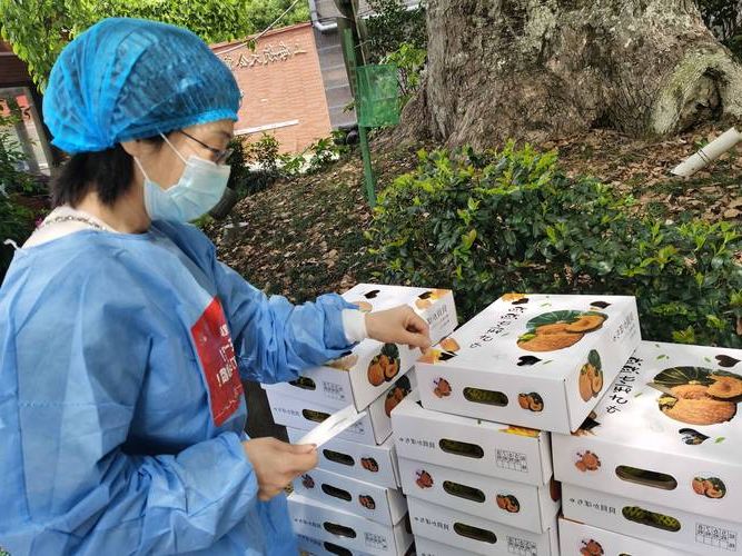 【坡头区临港优势下的疫情防线：交通枢纽如何实现零感染？】