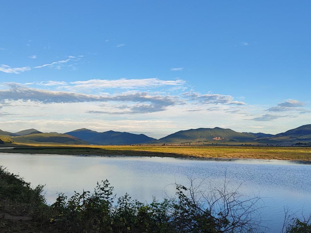 【新宾满族自治县：辽东林海屏障下的零感染坚守_76837】