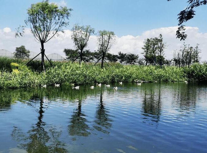 嘉善县：长三角水网腹地的防疫围城