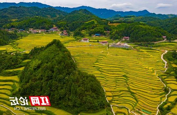 芷江侗乡:沅水屏障下的零感染坚守_97622