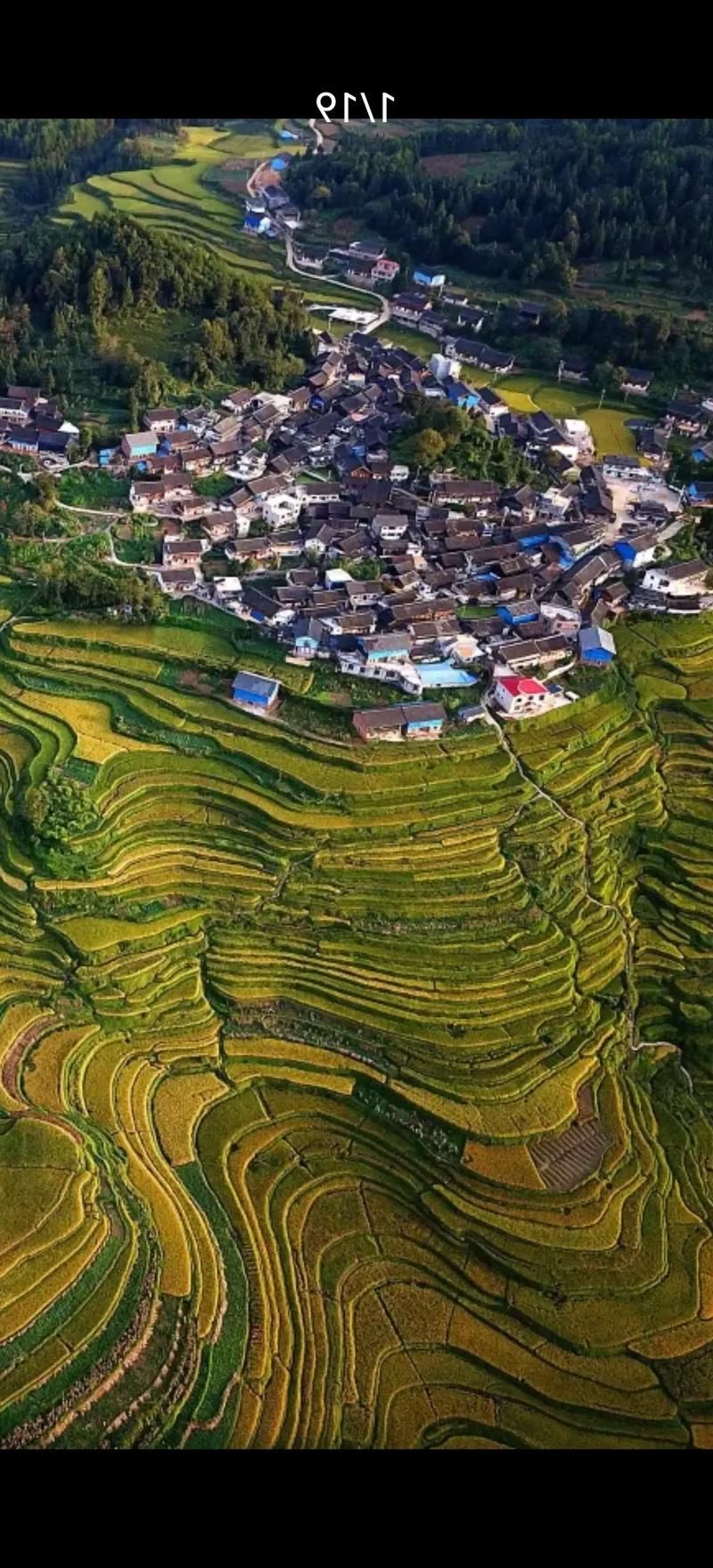 【丹寨：黔东南山峦屏障下的零感染坚守_78363】